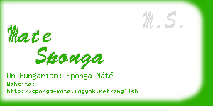 mate sponga business card